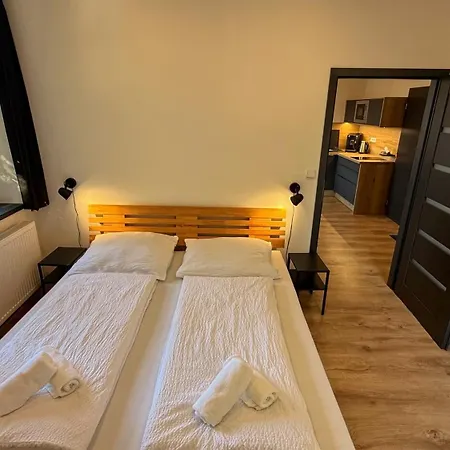 Pod Strazi Apartment Sušice